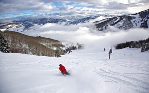 Skiing Area