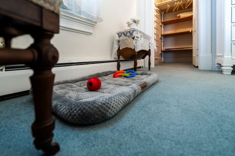 Birdsong Bliss Retreat — Room #8
