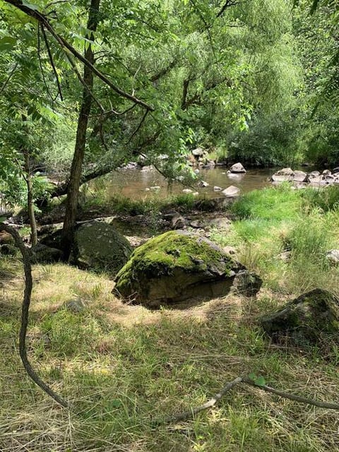 view of the Conewago just outside the hut