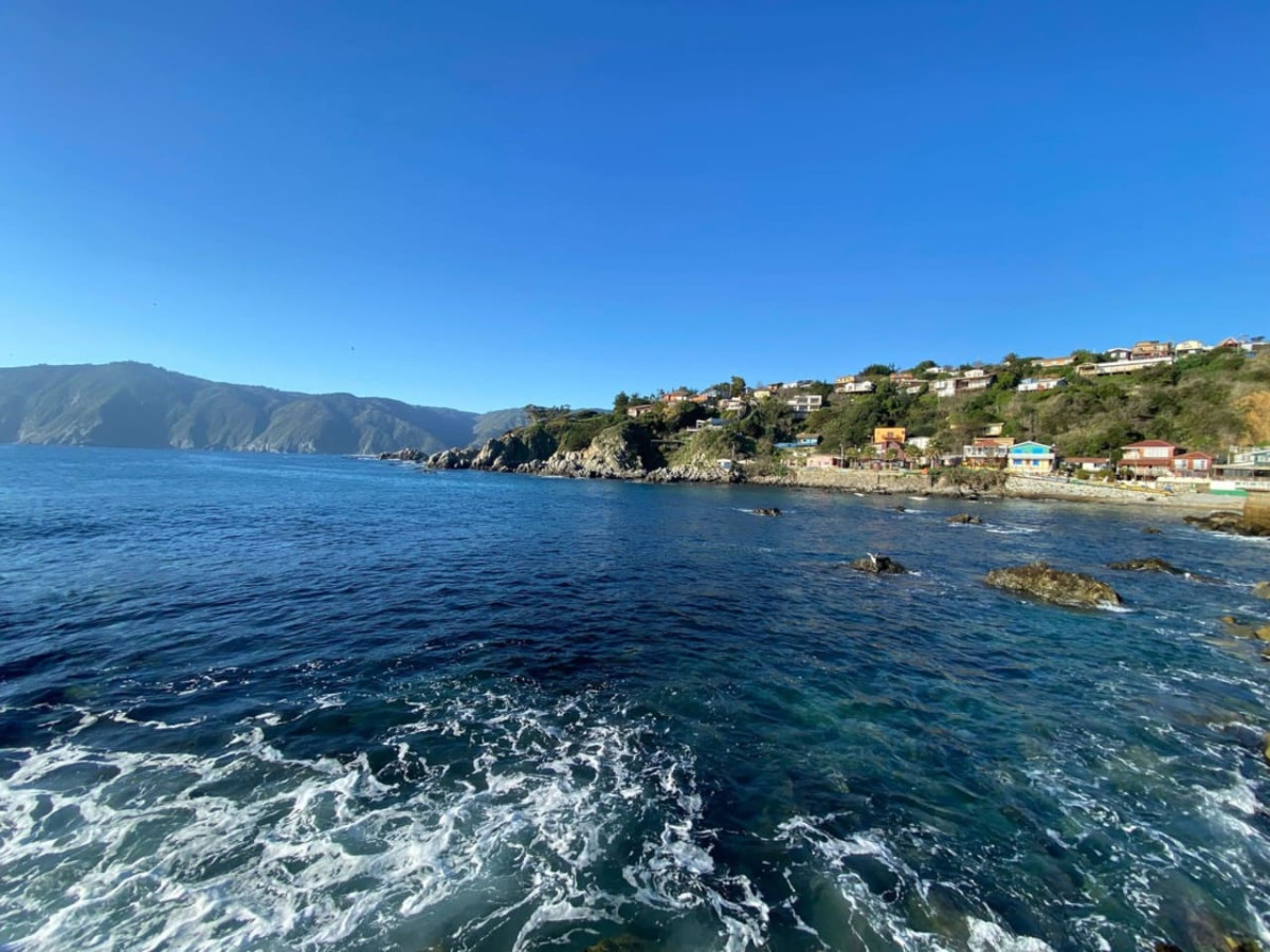 Classic Cabin | BBQ Parking Pet Wifi - Quintay