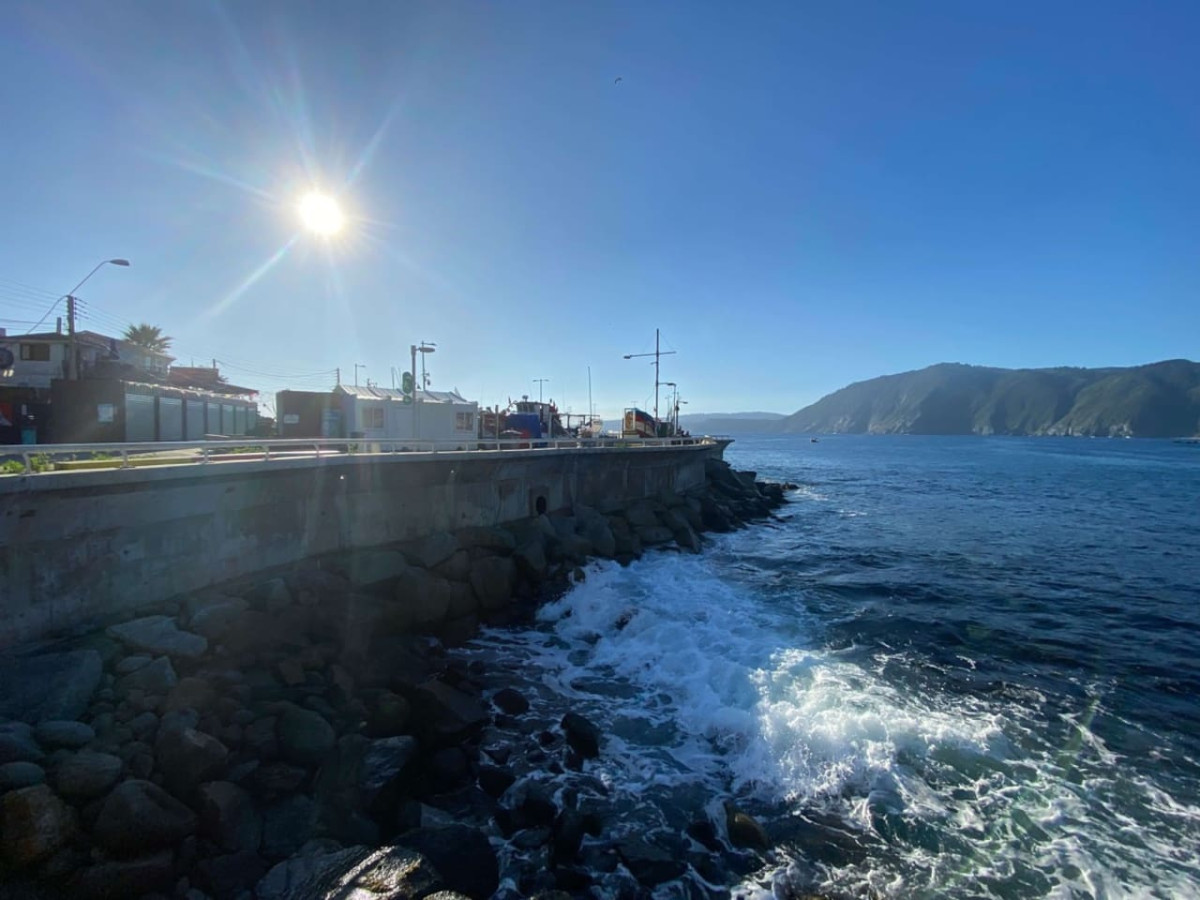 Classic Cabin | BBQ Parking Pet Wifi - Quintay