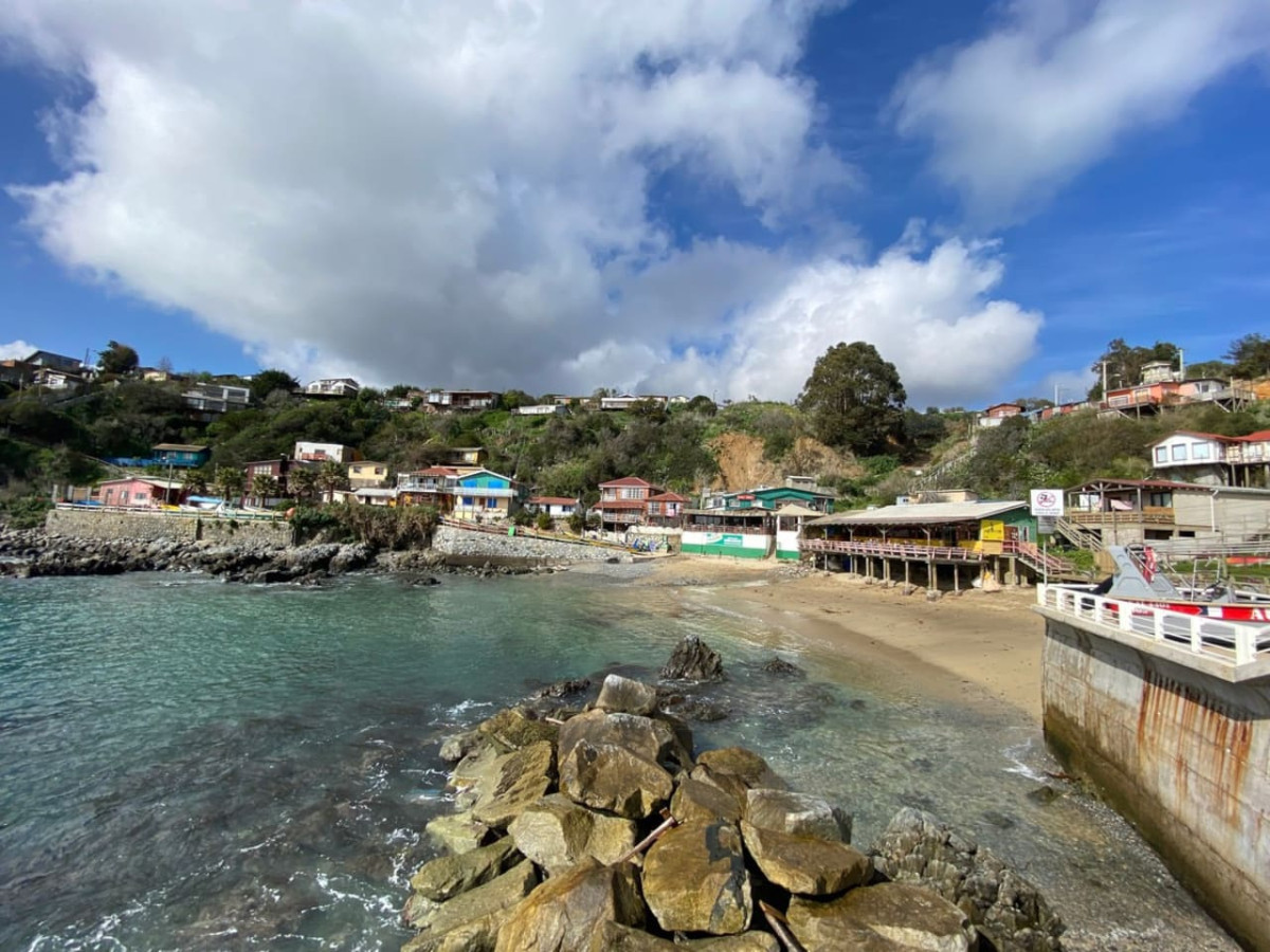 Classic Cabin | BBQ Parking Pet Wifi - Quintay