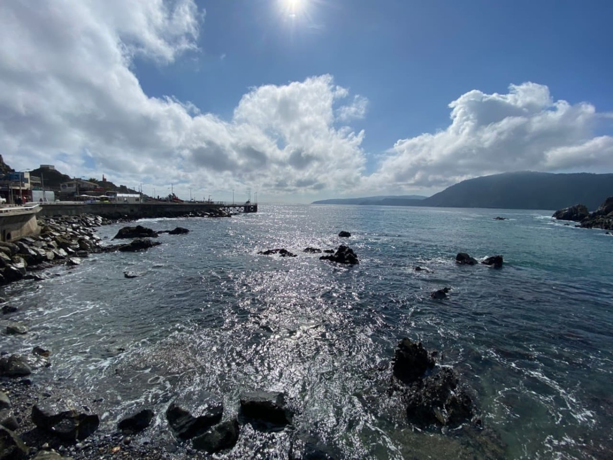 Classic Cabin | BBQ Parking Pet Wifi - Quintay