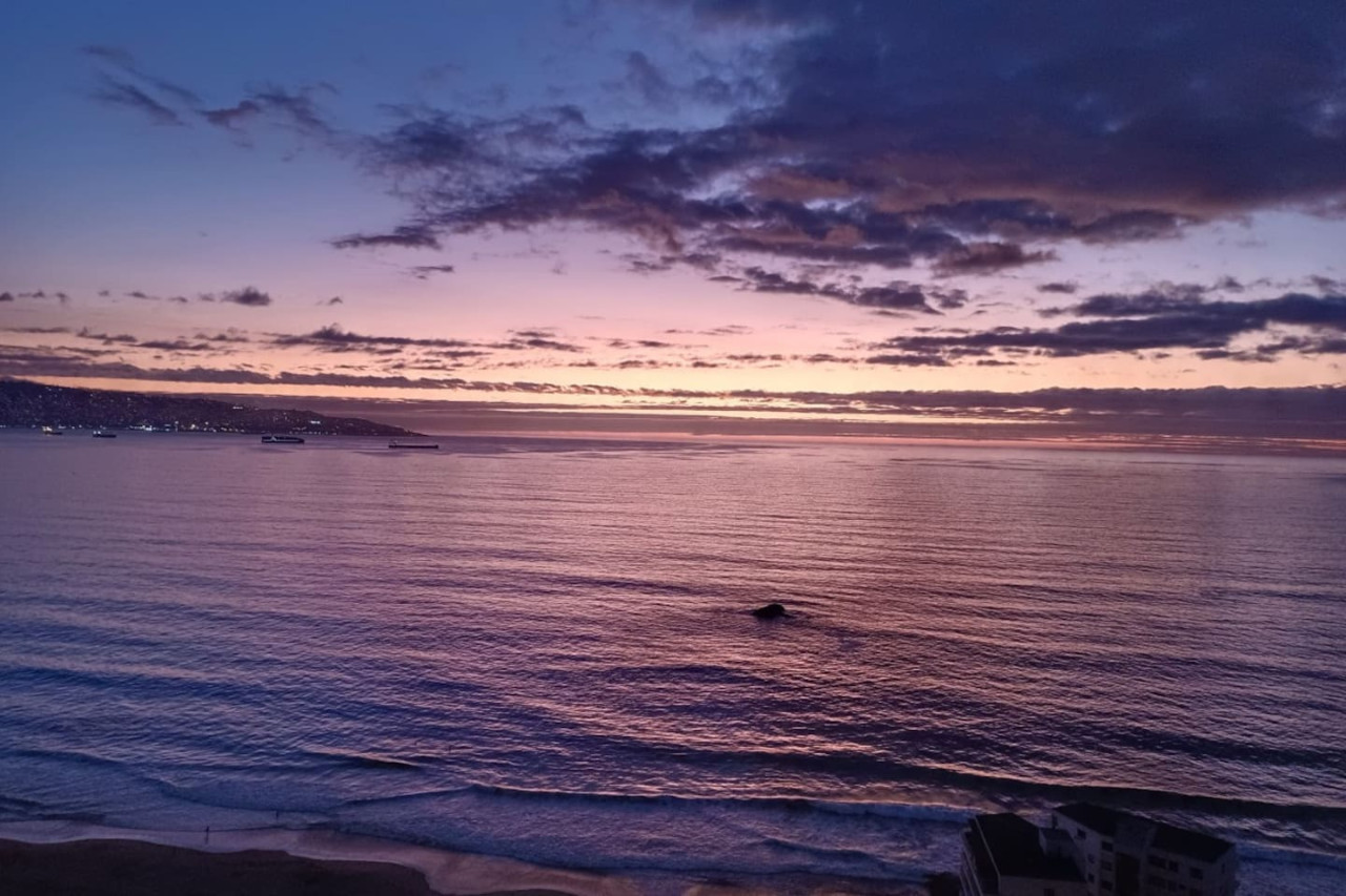 Luminous Bellavista Sector 5|Laundry Parking Wifi