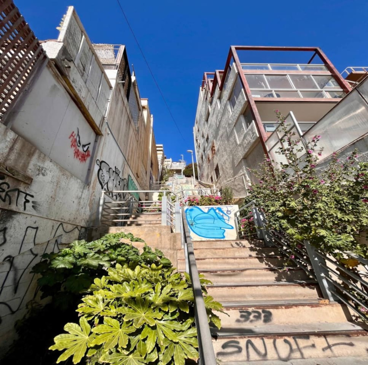 Luminous Bellavista Sector 5|Laundry Parking Wifi