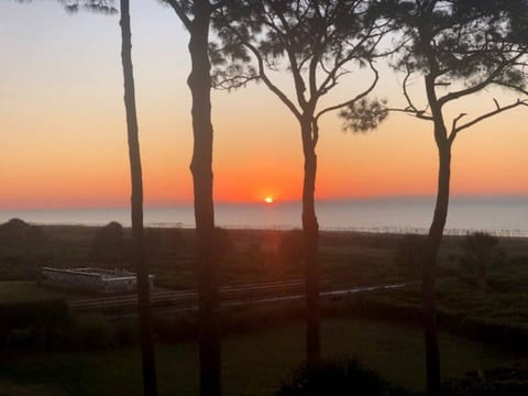 Perfect sunset views!