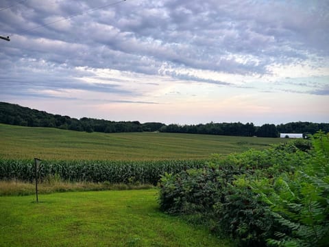 The view