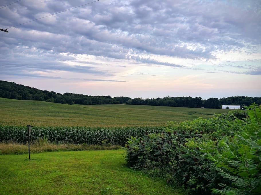 The view