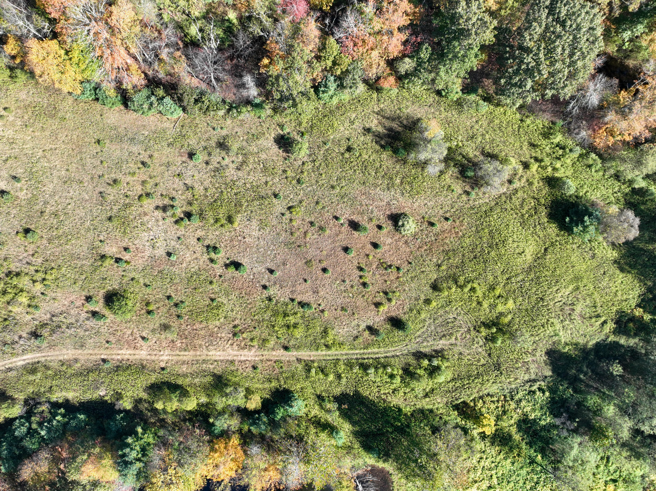 Simply follow the trail and let the adventure unfold...