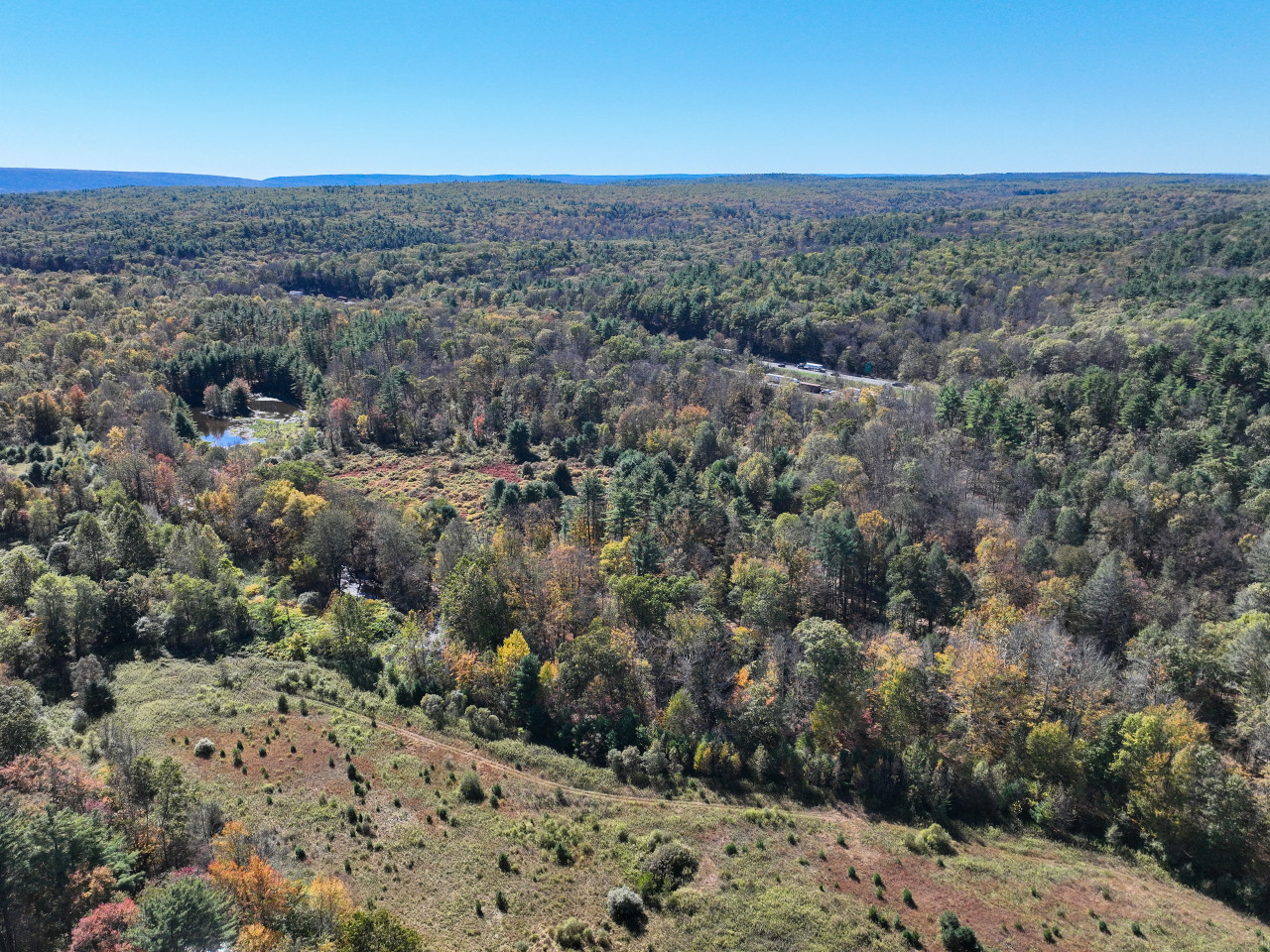 Take in the stunning views as you hike along the trail leading to the pond — nature at its finest.