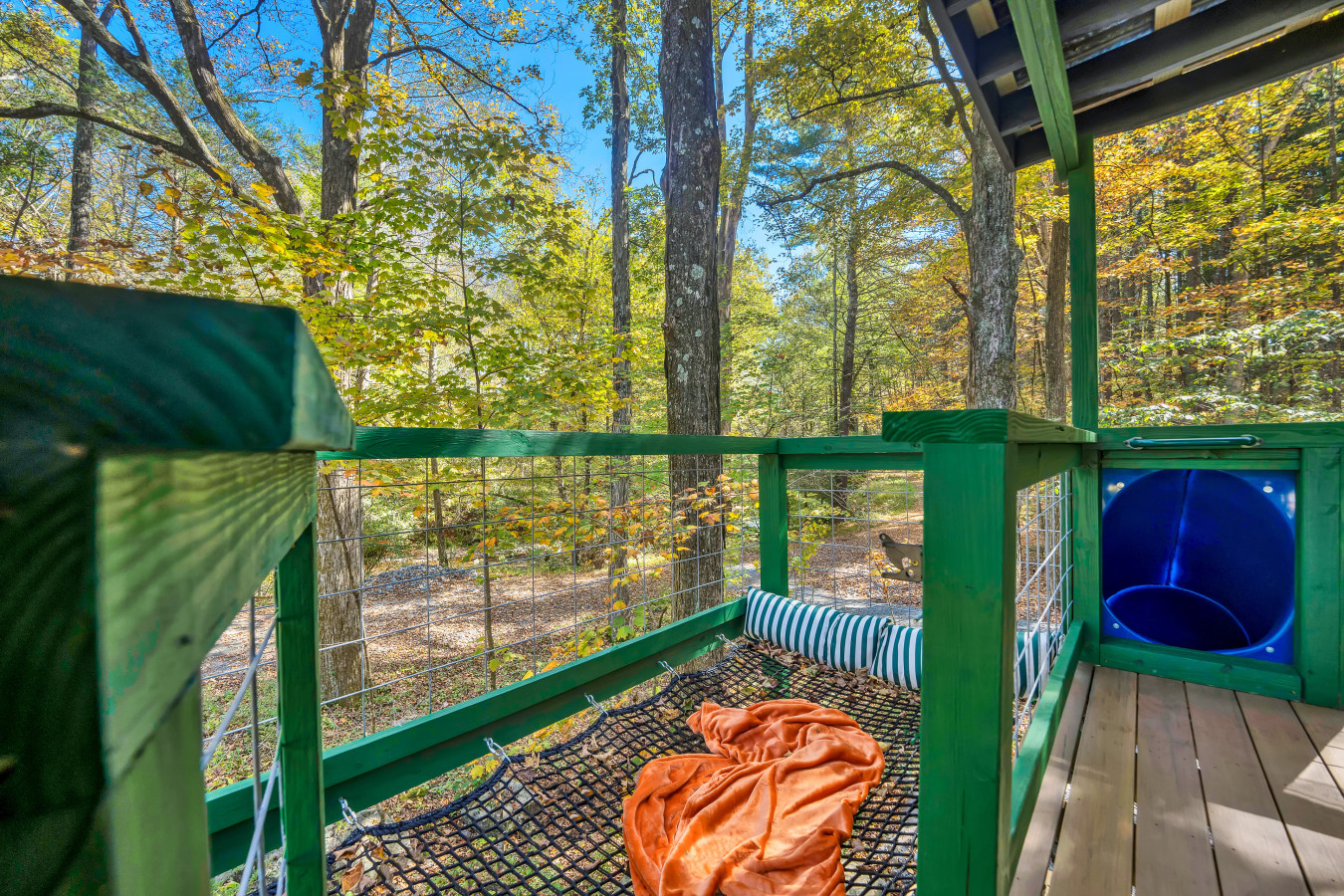 Get ready for some fun — slide down the spiral tube and feel the rush of adventure at the Tree House!
