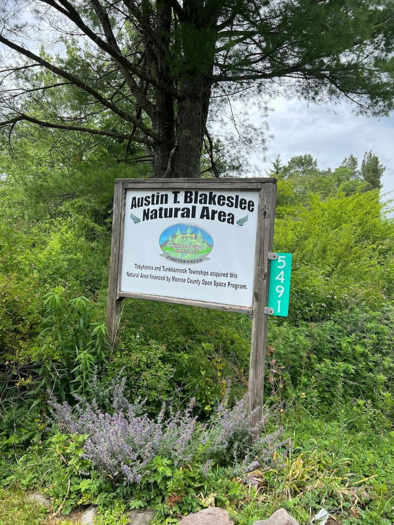 Extraordinary Cozy Cabin Escape w/Wood Fired Spa - Blakeslee