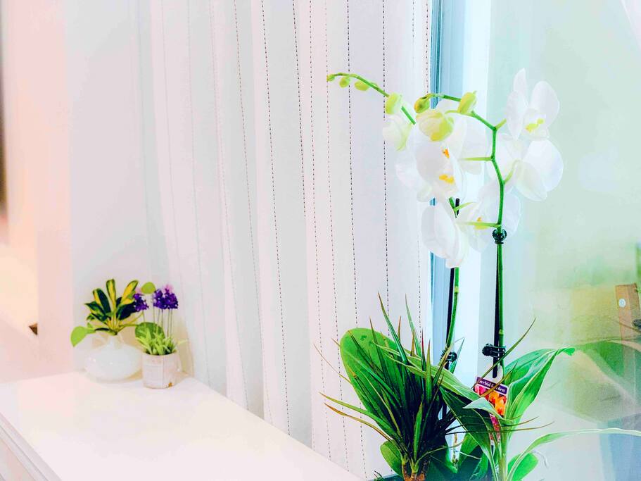 The GARDENER - Modern | Minimalist | Urban Oasis ♡