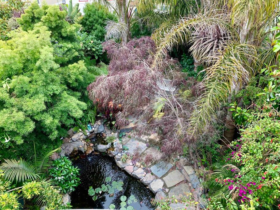 The GARDENER - Modern | Minimalist | Urban Oasis ♡