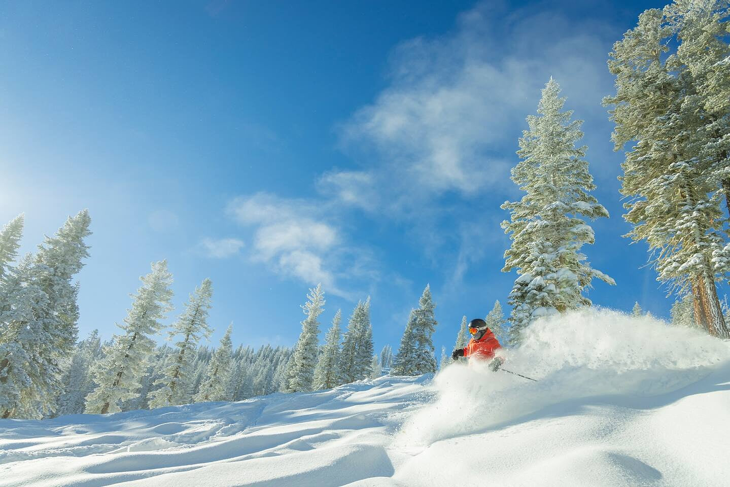 Short drive from your favorite North California Ski Resort such as NorthStar, Palisades, Alpine