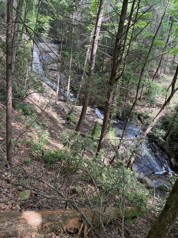 Fall Branch Falls 18 miles 30 minute scenic drive!