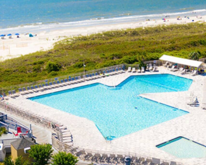 Largest pool in Hilton Head Island ‍♀️ 