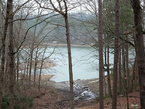 The Cove, lakefront home, hot tub, kayaks, pets