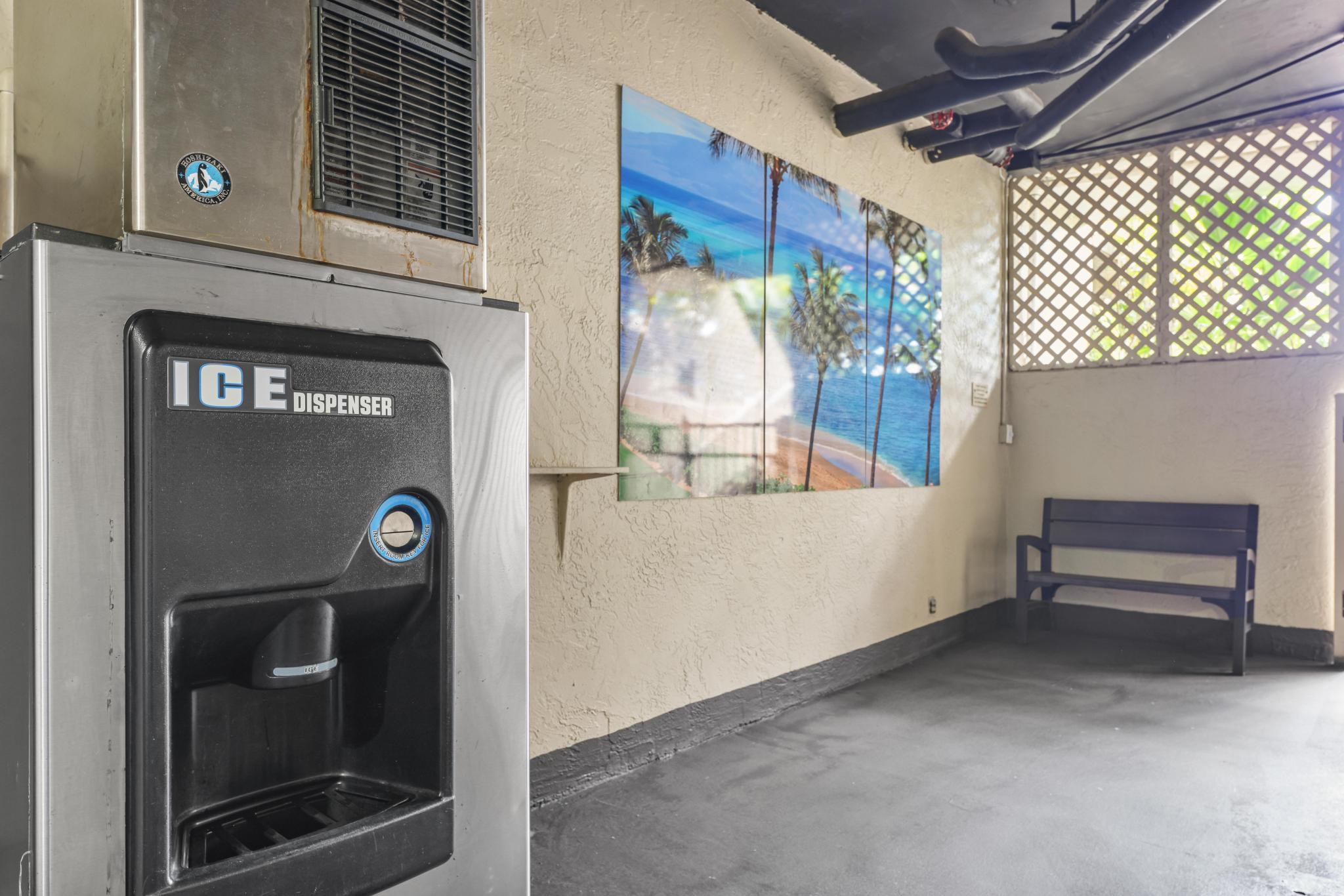 Maui Tropical Sunset - Lahaina