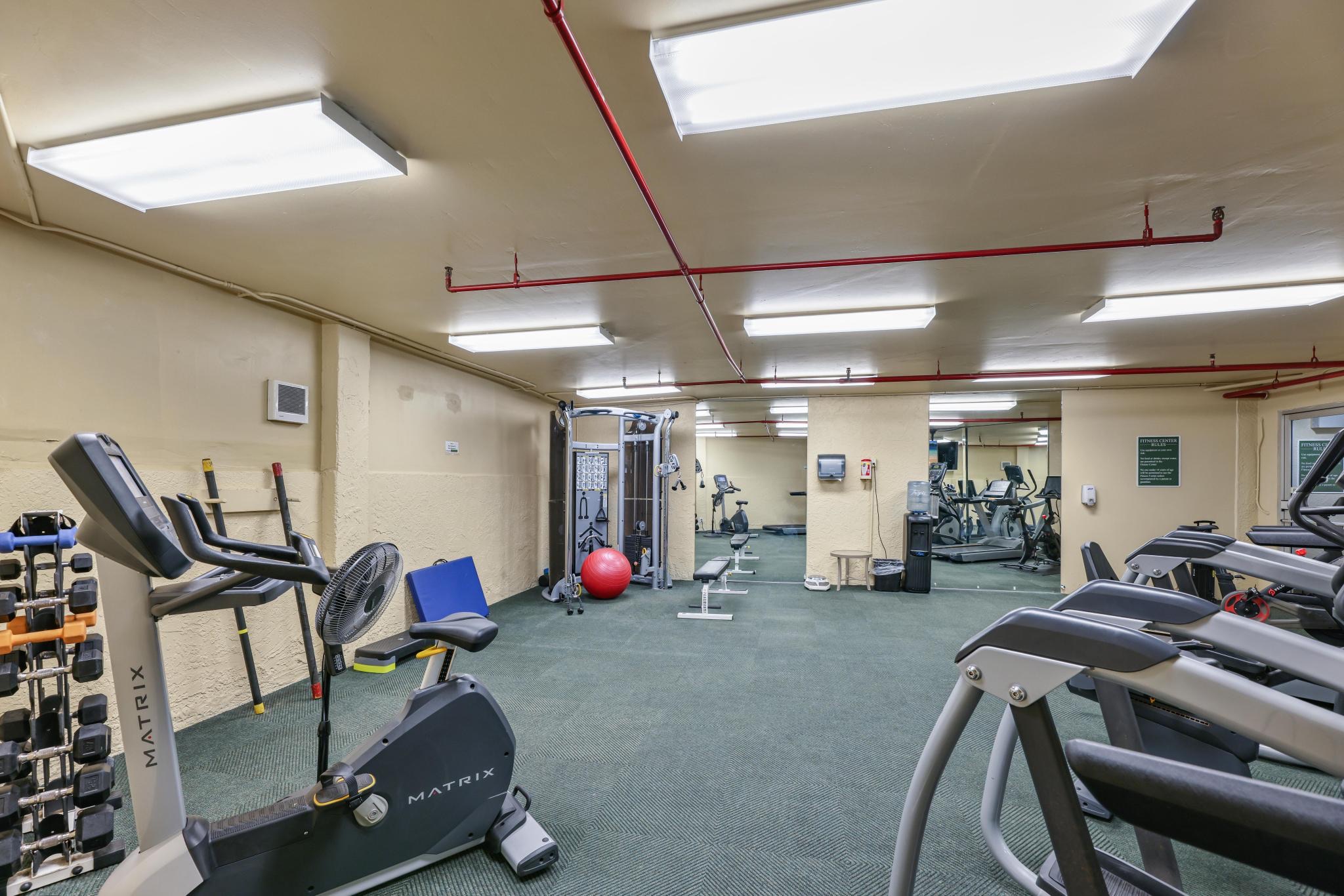 Maui Tropical Sunset - Lahaina