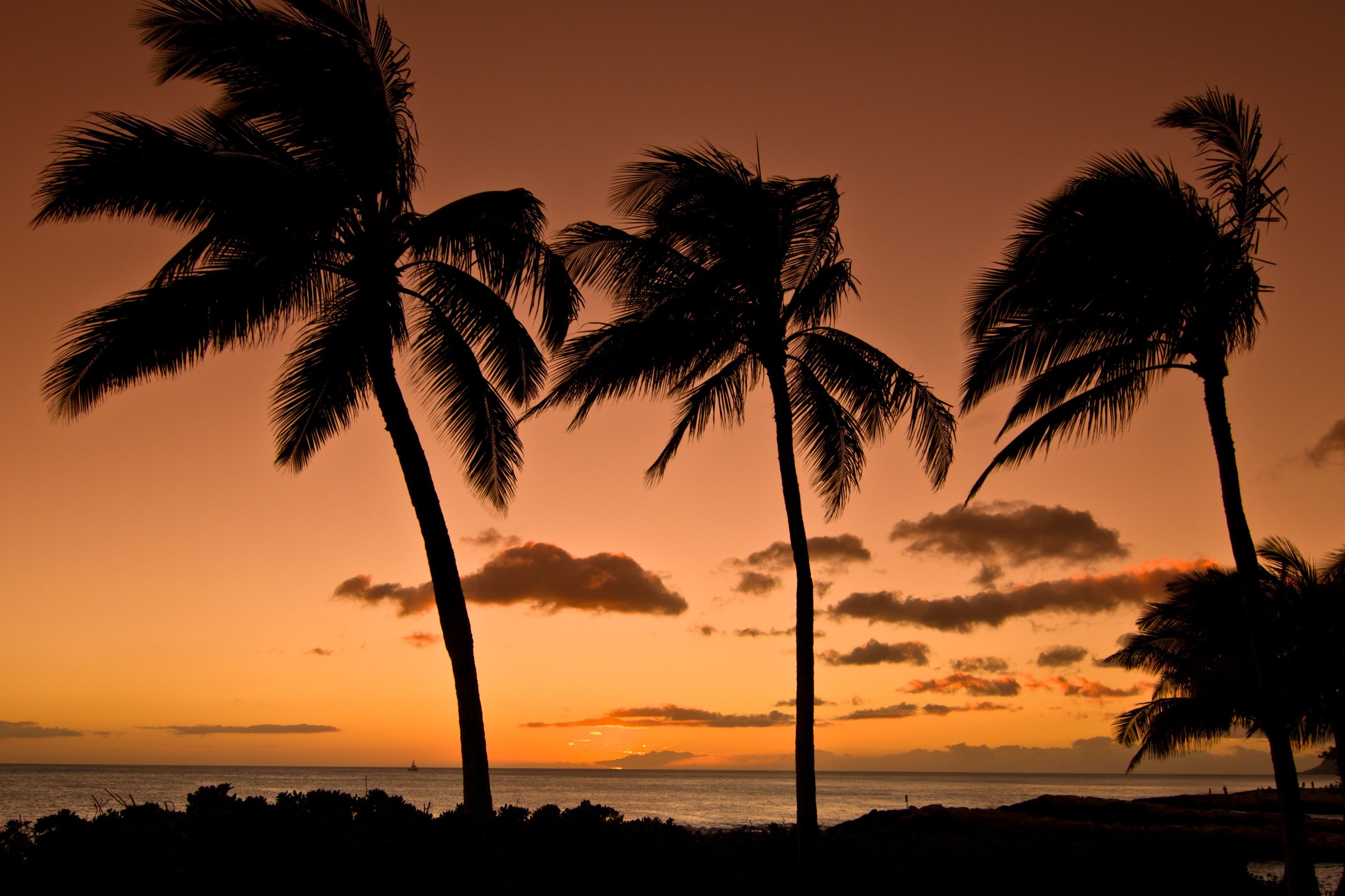 Maui Tropical Sunset - Lahaina