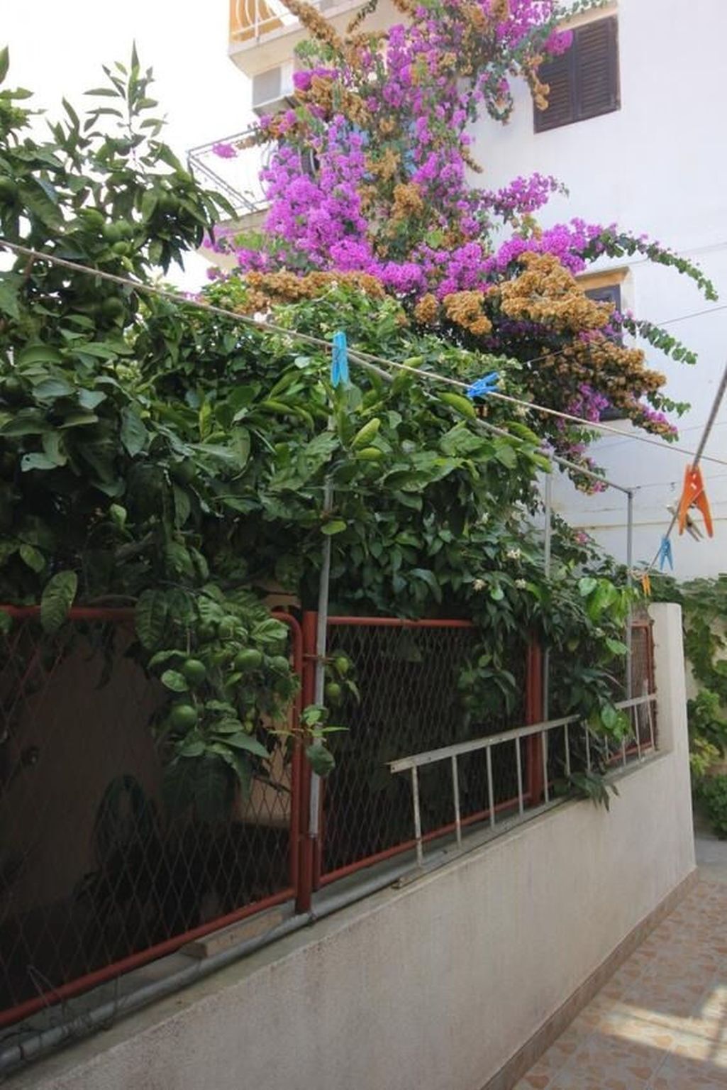 Apartments Zoki - Unit 371526-13