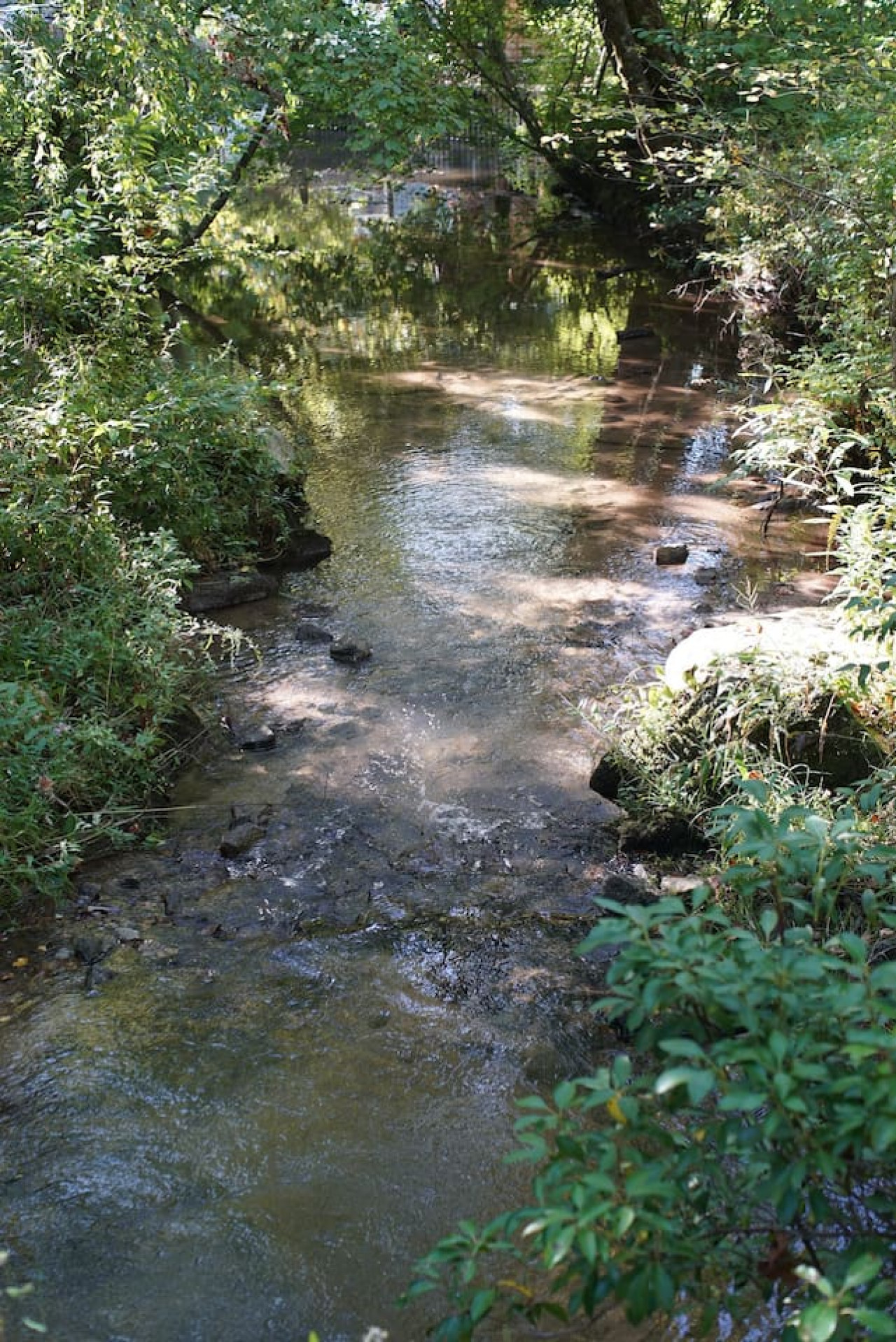 Bill's Bungalow on Lake Burton w/ Top Dock&Hot Tub - Clayton