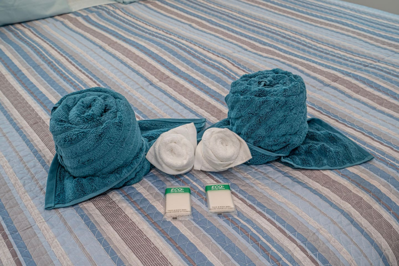 Freshly laundered and fluffy, these towels promise a spa-like experience after a long day.