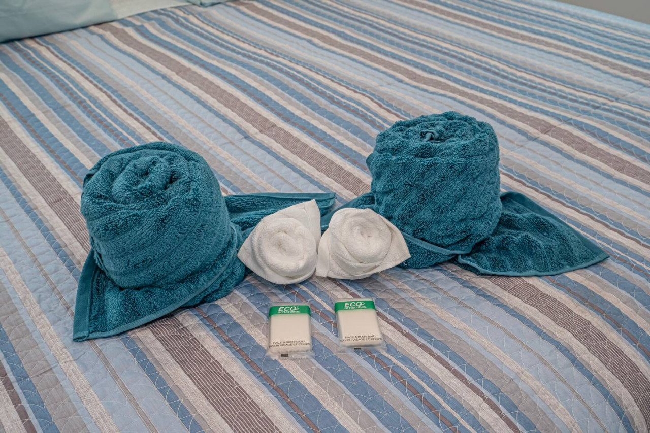 Beachfront Bloo's -2 Units-Ocean View Balcony #1/2 - Fort Lauderdale