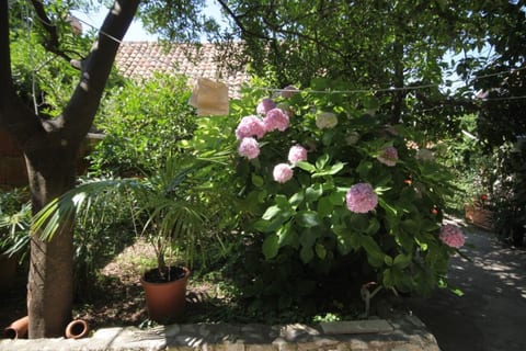 Apartment Milu - Unit 371748-13