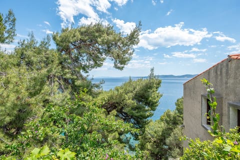 Apartments Marko - Unit 371972-13