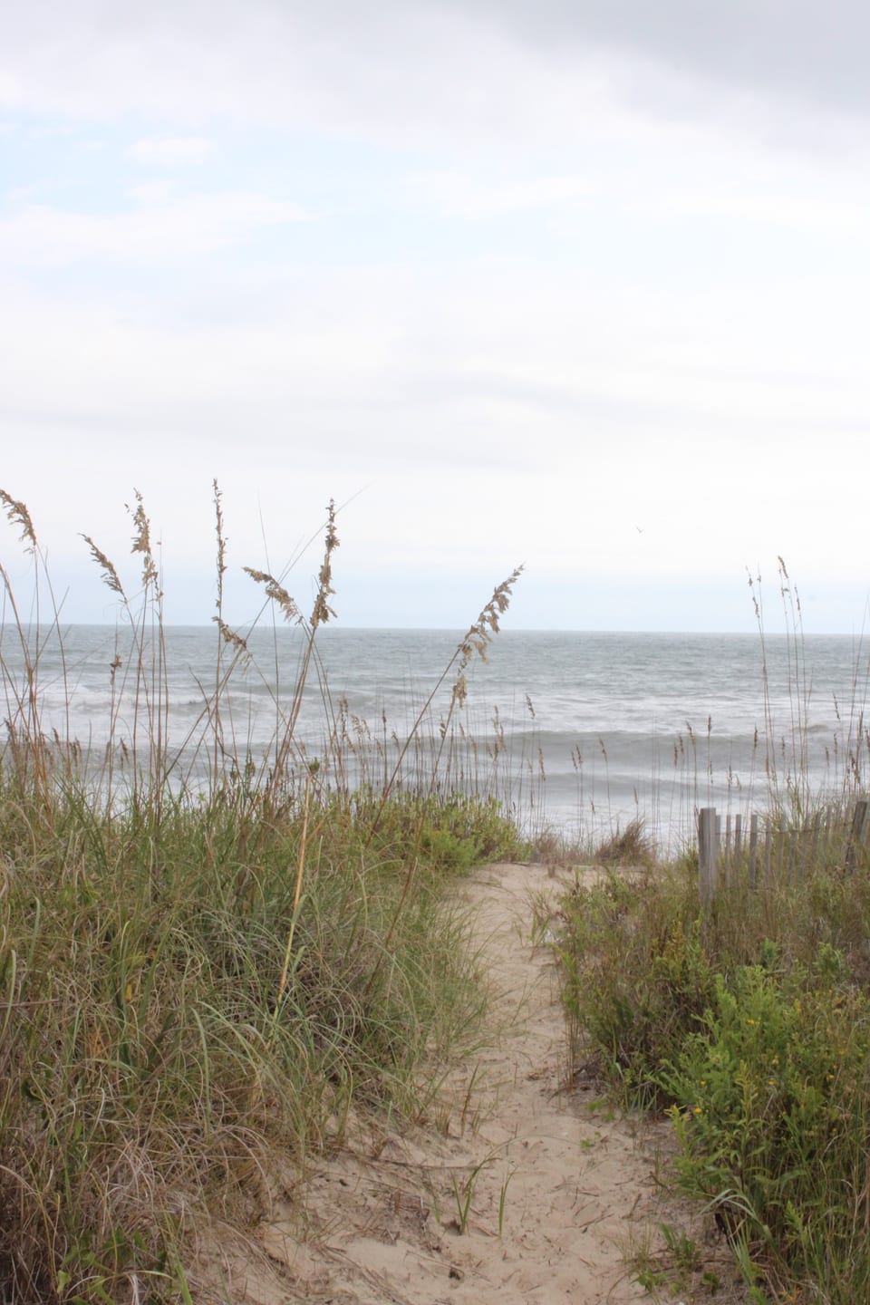 Follow the private sandy path right to the ocean's edge!