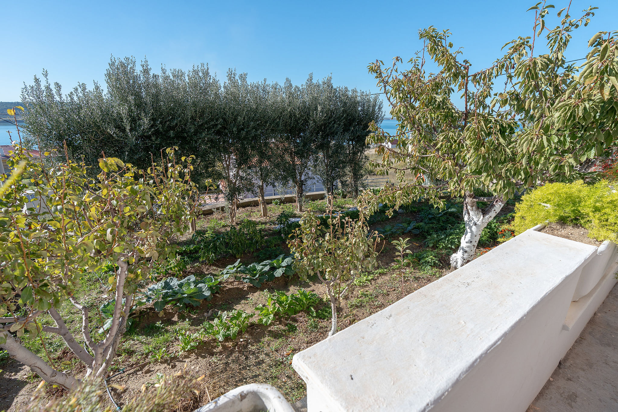 Apartments Andrija - Unit 372283-13