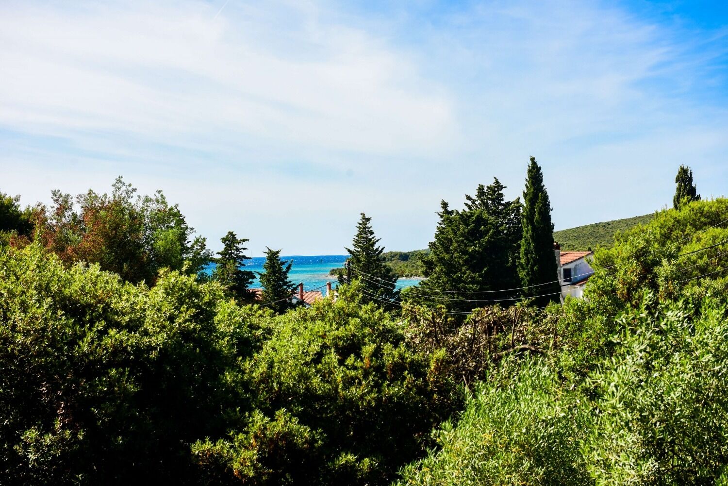 Apartments Zlatko - Unit 372308-13