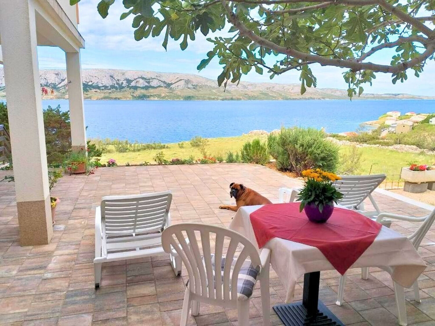 Apartments PoolHouse - Unit 372486-13