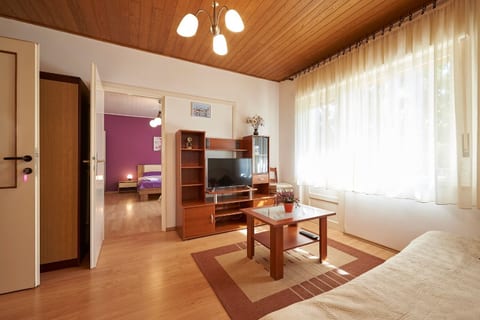 Apartment and Rooms Ivo - Unit 372658-13