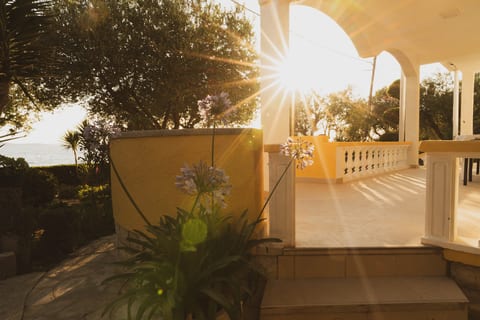 House Villa Petar 1 - Unit 372746-13