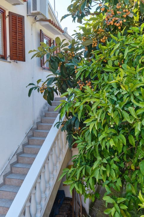 Apartment Luce - Unit 373650-13