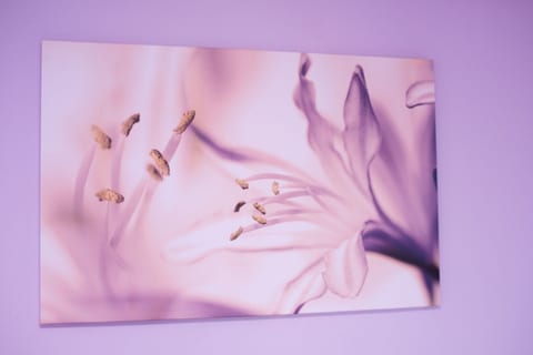 Apartment Ivona - Unit 372849-13