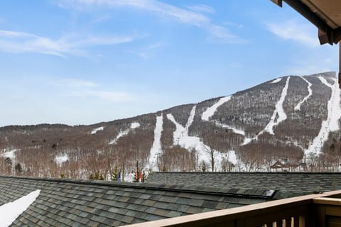 *372 Spruce Peak