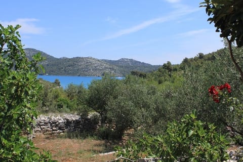 House Nature park - Unit 372916-13