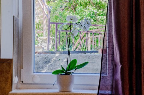 Apartment Mir - Unit 375012-13