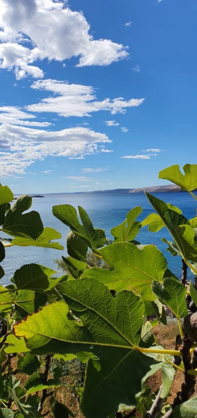 Apartments Neno - Unit 373760-13