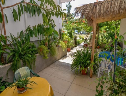 Apartment Rosa - Unit 373508-13