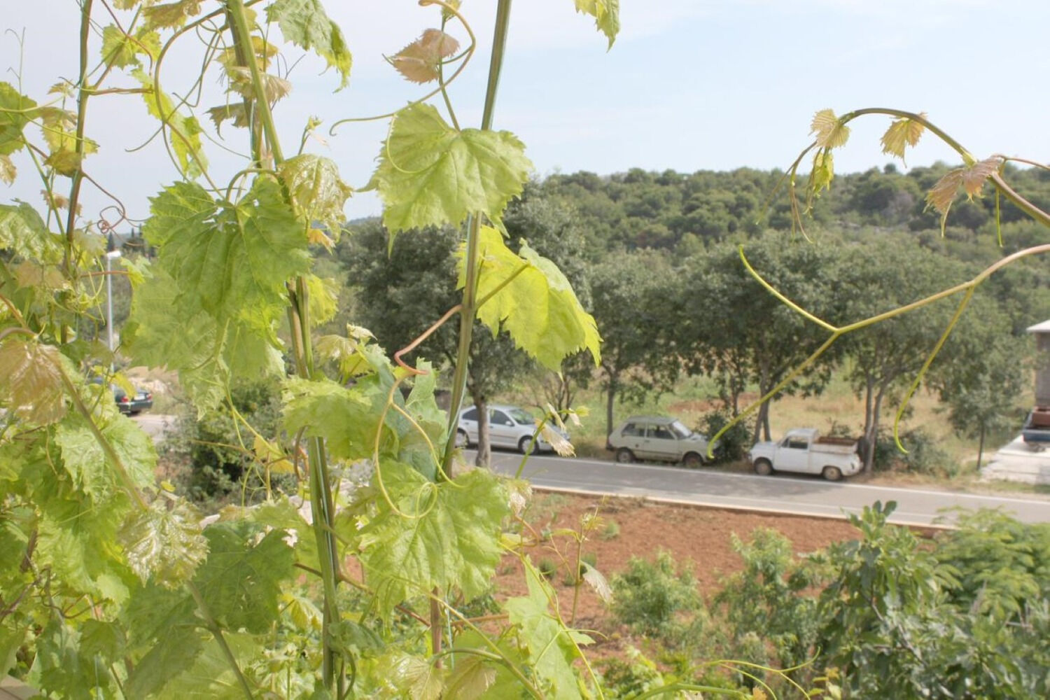 Apartments Slavica - Unit 373377-13