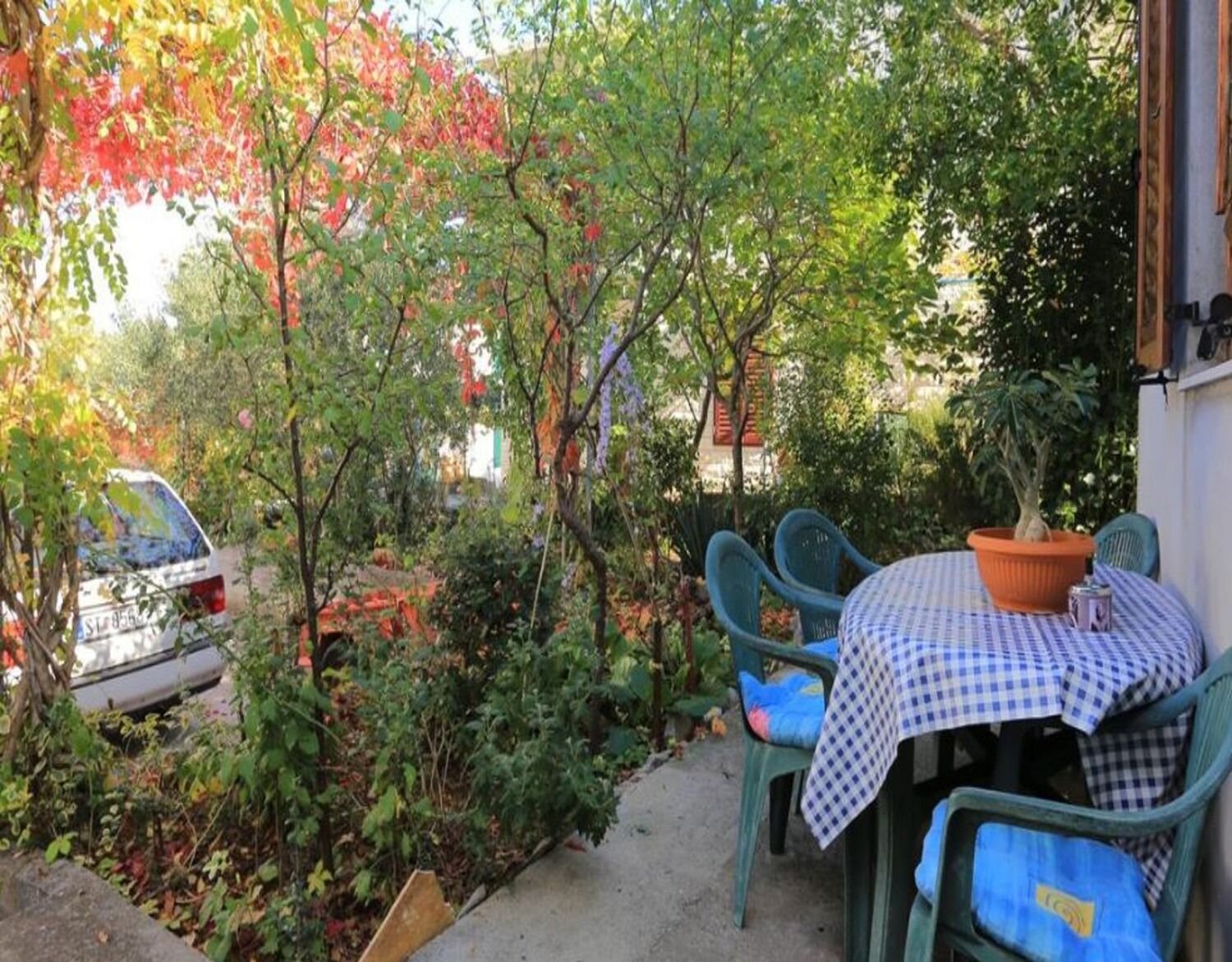 Apartments Rosa - Unit 373378-13