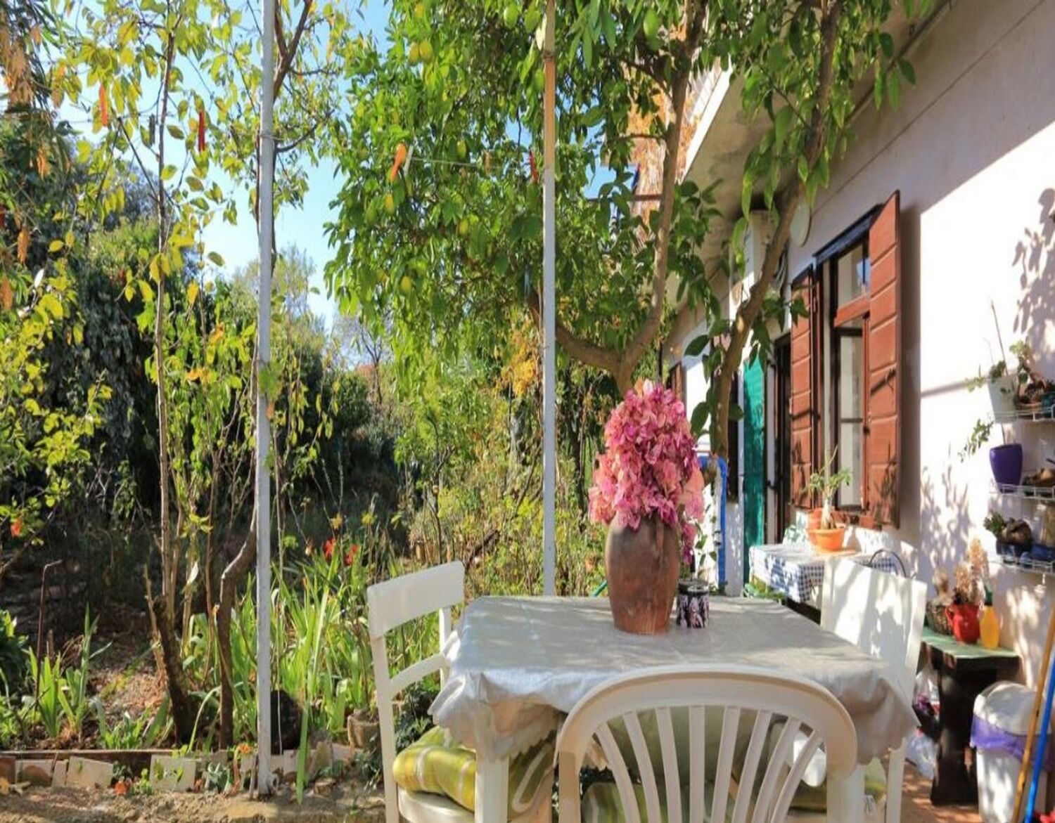 Apartments Rosa - Unit 373379-13