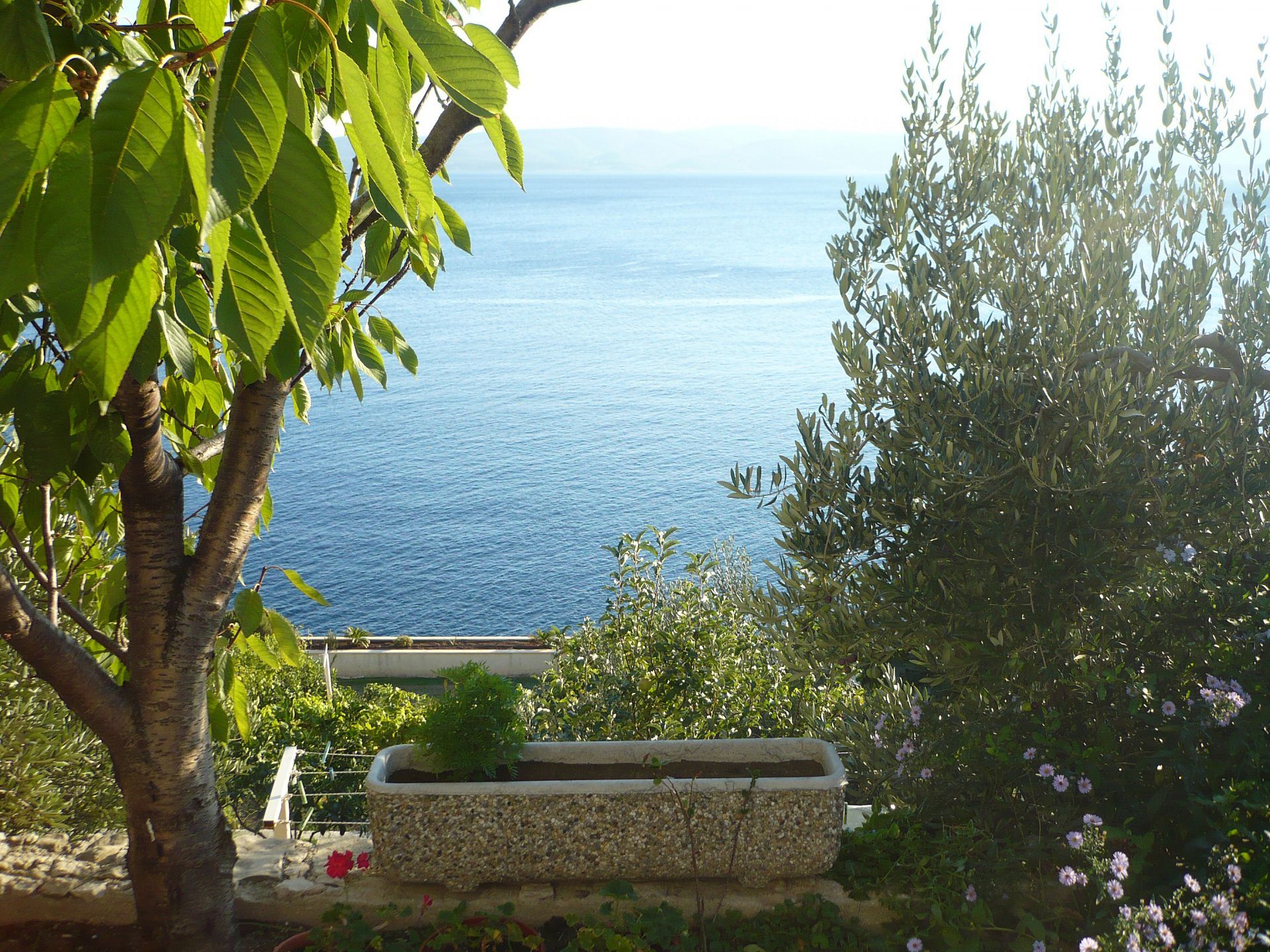 Apartments Mirela - Unit 373528-13