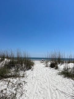 Beach path to ocean
