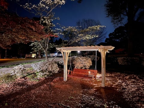 Cedar swing plus a solo stove firepit